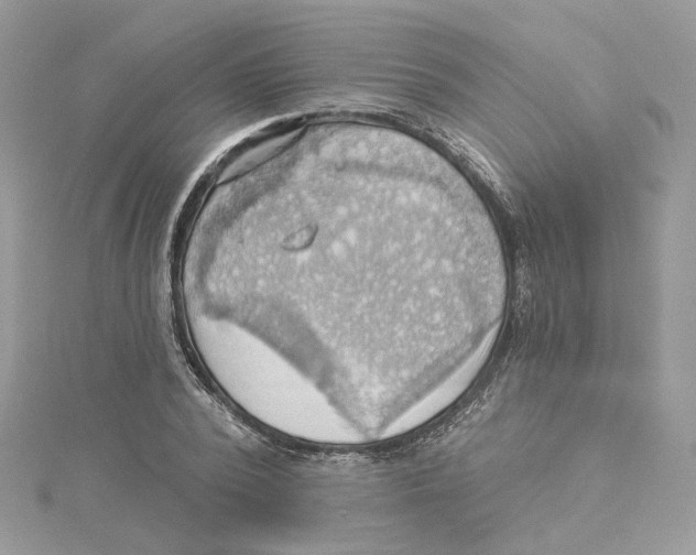 X0000114530784200911161335