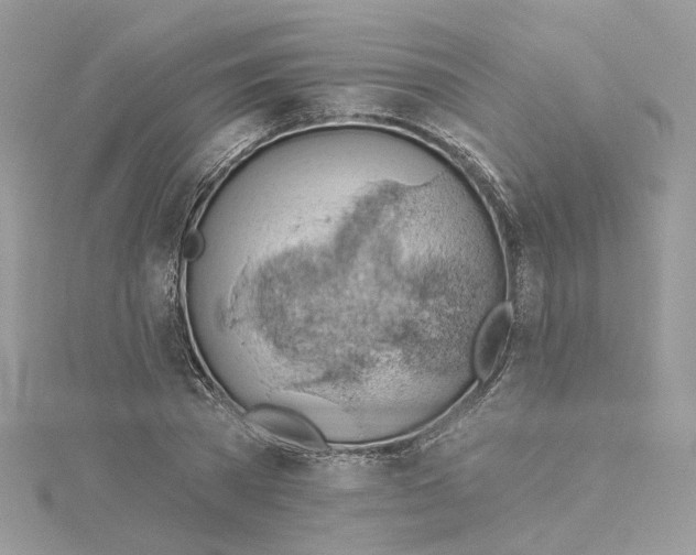 X0000114530785200911161335