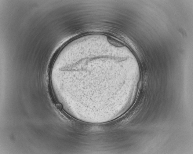 X0000114530787200911161335