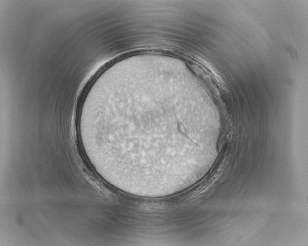 X0000114530788200911161335