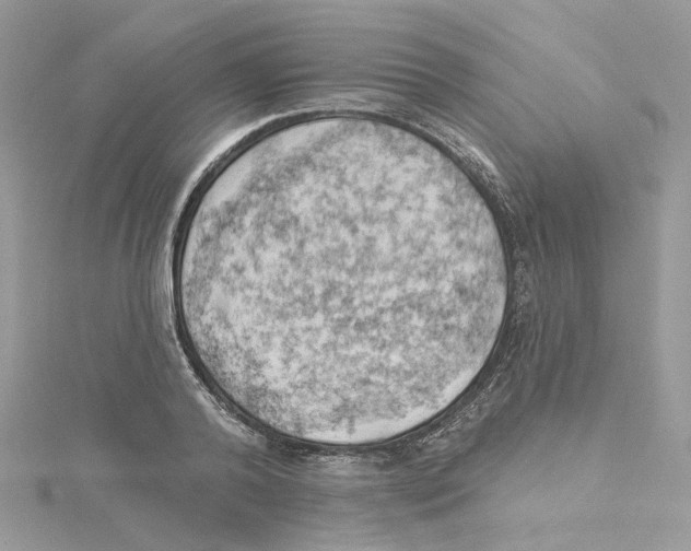 X0000114530792200911161335