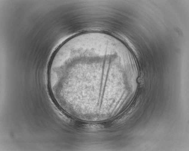 X0000114530795200911161335