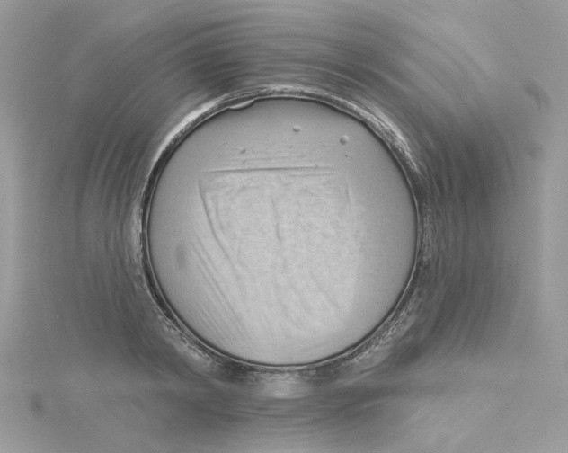 X0000114530798200911161335