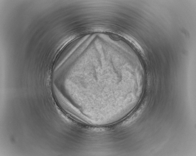 X0000114530801200911161335