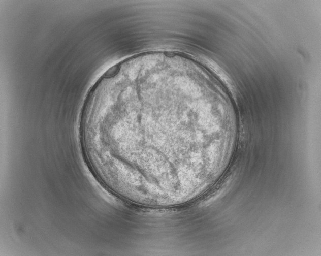 X0000114530803200911161335