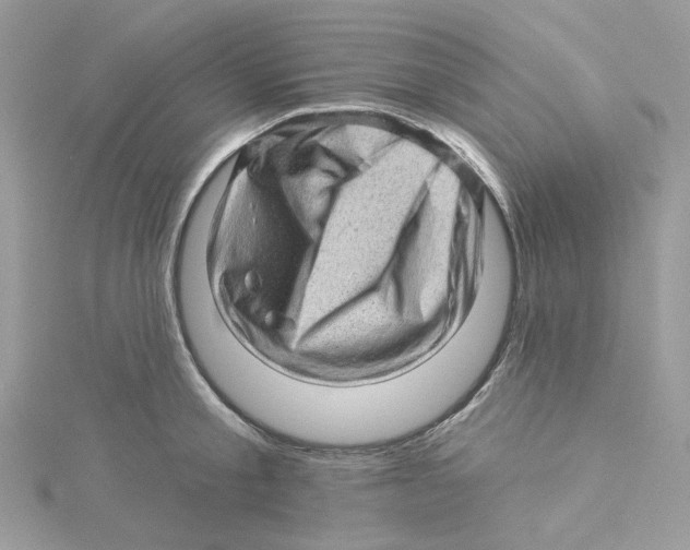 X0000114530805200911161335