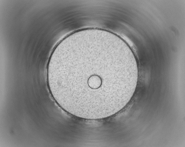 X0000114530807200911161335