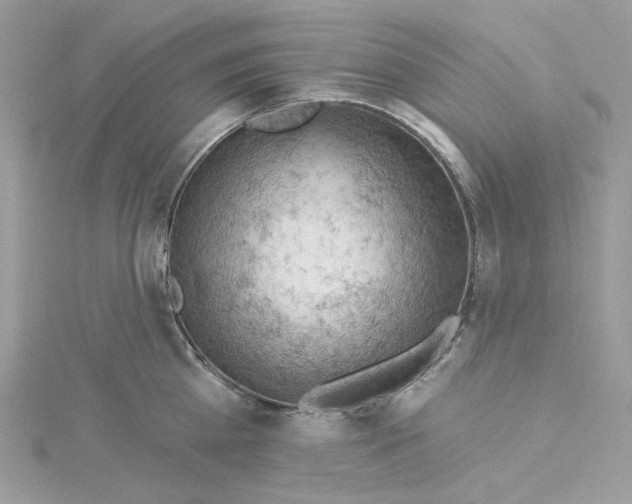 X0000114530809200911161335