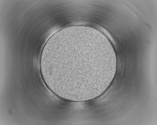 X0000114530810200911161335