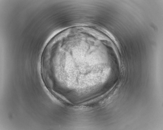 X0000114530811200911161335