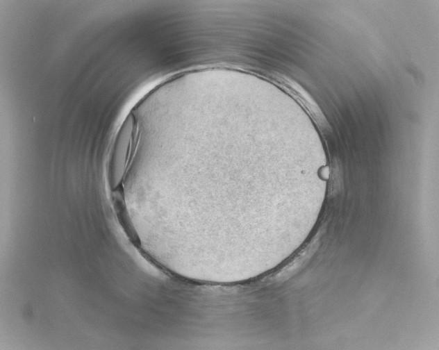 X0000114530812200911161335