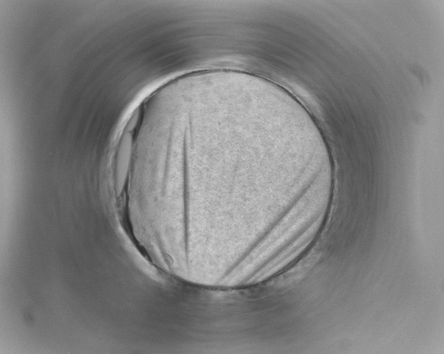 X0000114530816200911161335