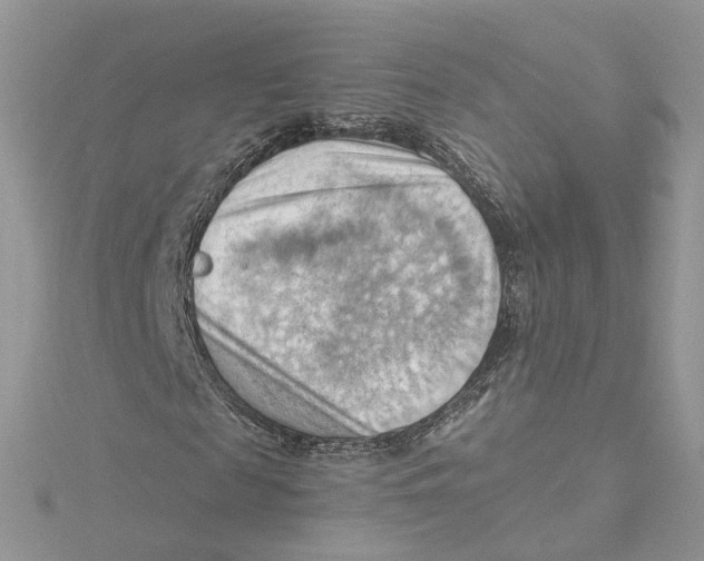 X0000114530817200911161334