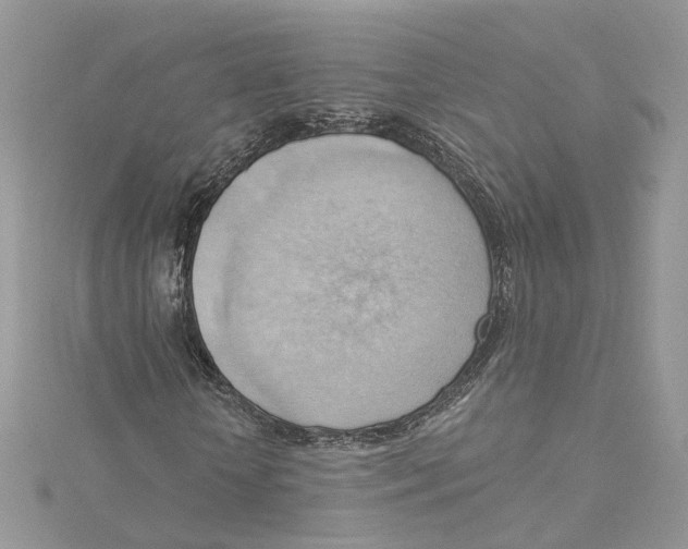 X0000114530818200911161334