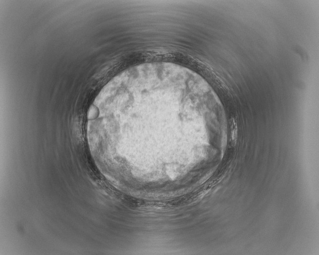 X0000114530819200911161334