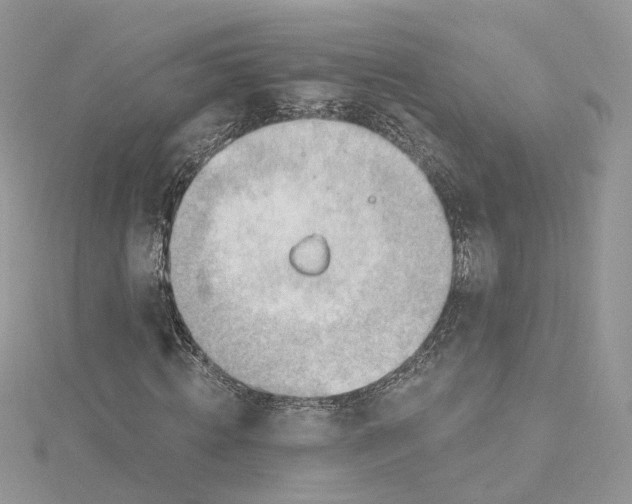 X0000114530820200911161334