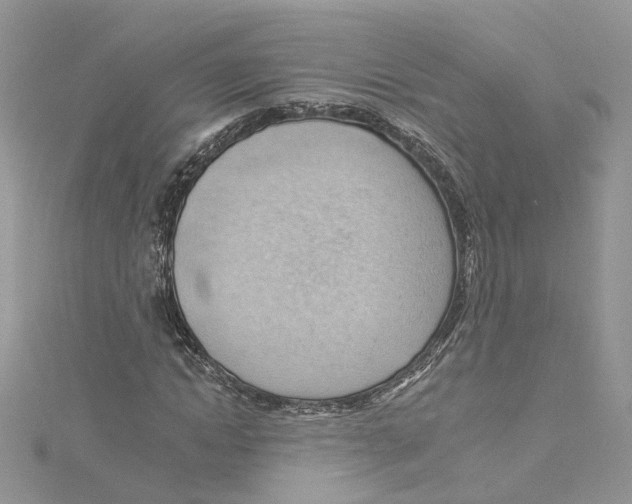 X0000114530822200911161334