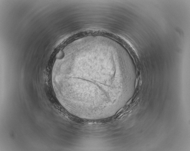 X0000114530823200911161335