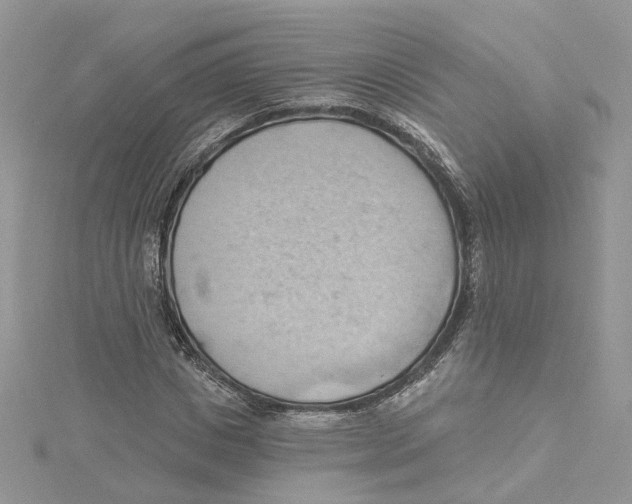 X0000114530825200911161335