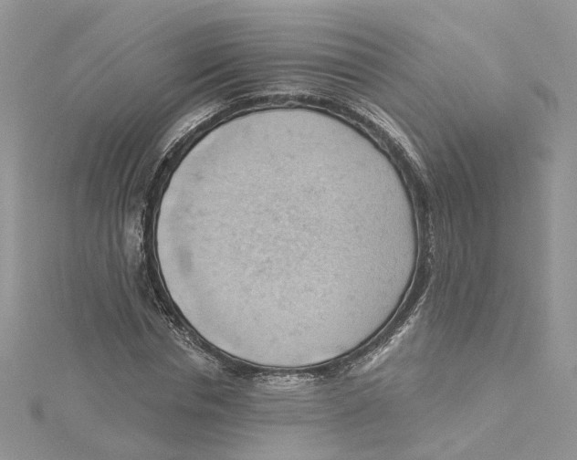 X0000114530826200911161335