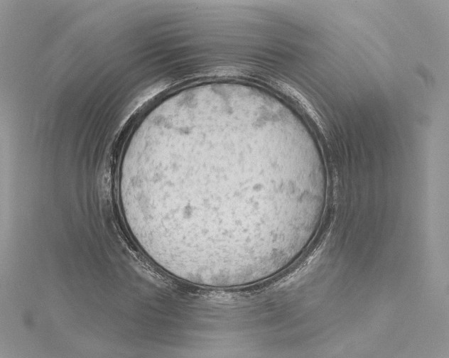 X0000114530827200911161335