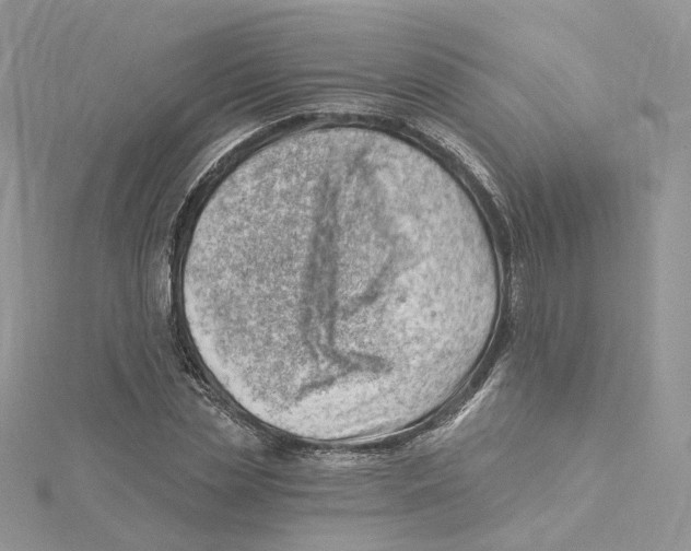 X0000114530829200911161335