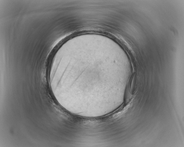 X0000114530830200911161335