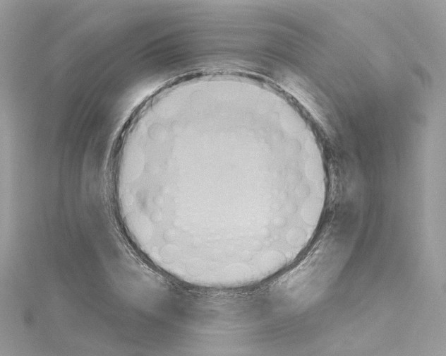 X0000114530832200911161335