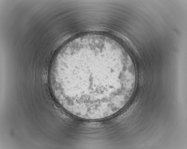 X0000114530833200911161335