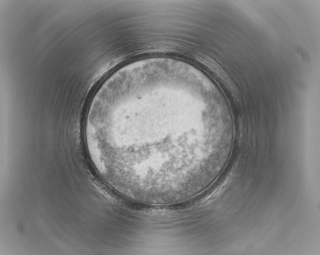 X0000114530834200911161335