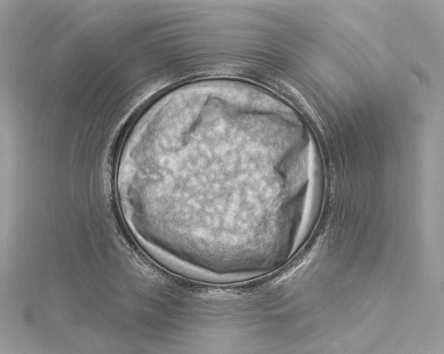 X0000114530835200911161335