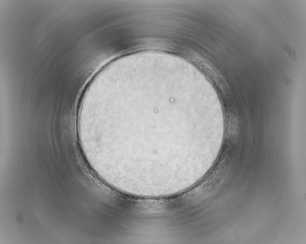 X0000114530836200911161335