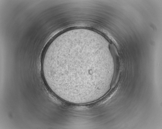 X0000114530837200911161335