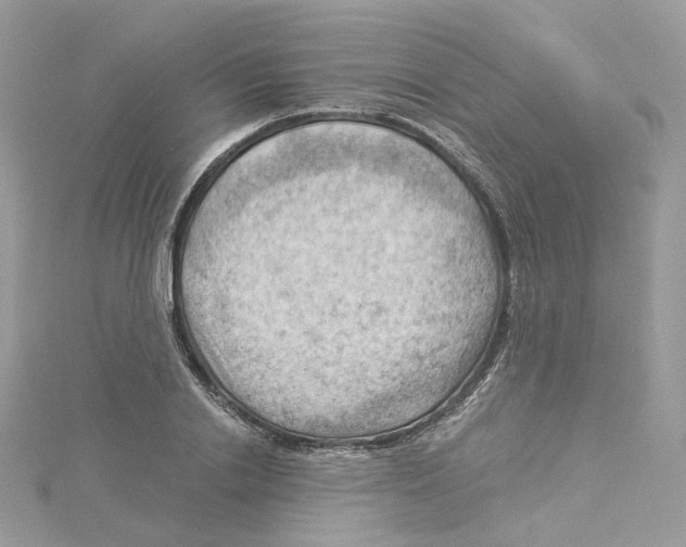 X0000114530838200911161335