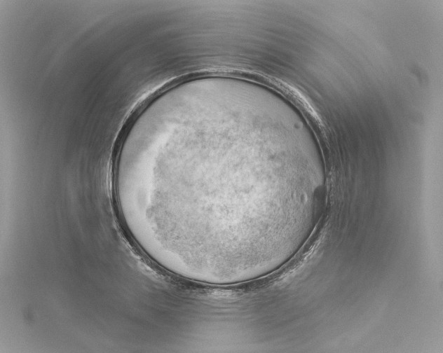 X0000114530839200911161335