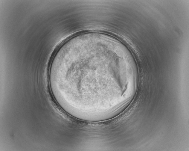 X0000114530840200911161335