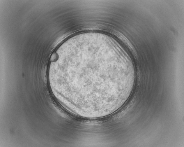 X0000114530842200911161335