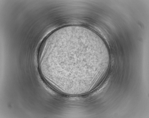 X0000114530843200911161335