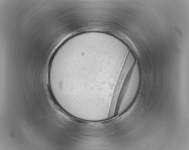 X0000114530844200911161335