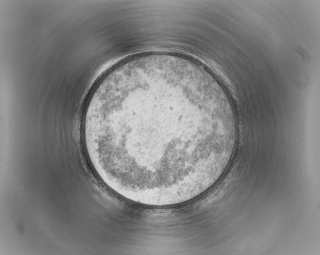 X0000114530846200911161335