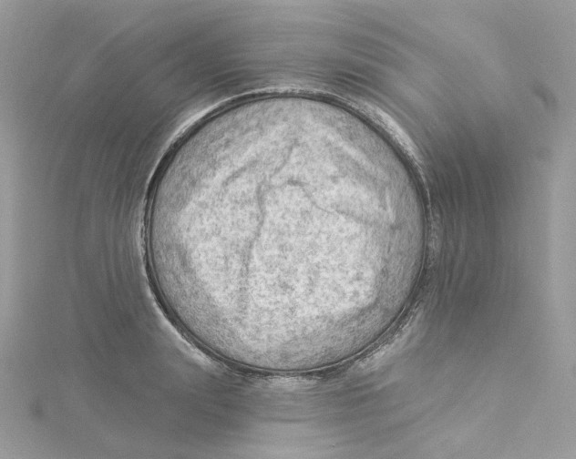 X0000114530847200911161335