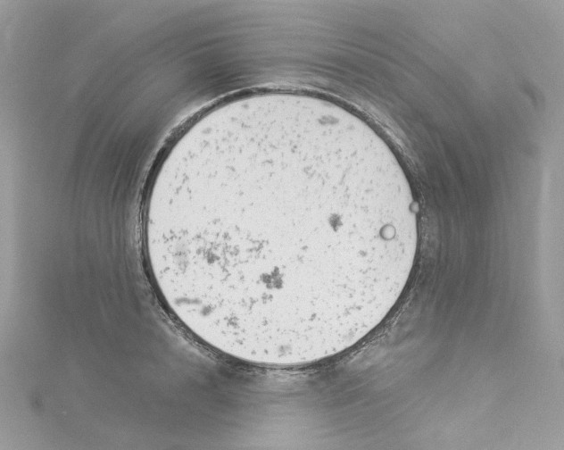 X0000114530848200911161335