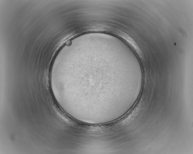 X0000114530850200911161335