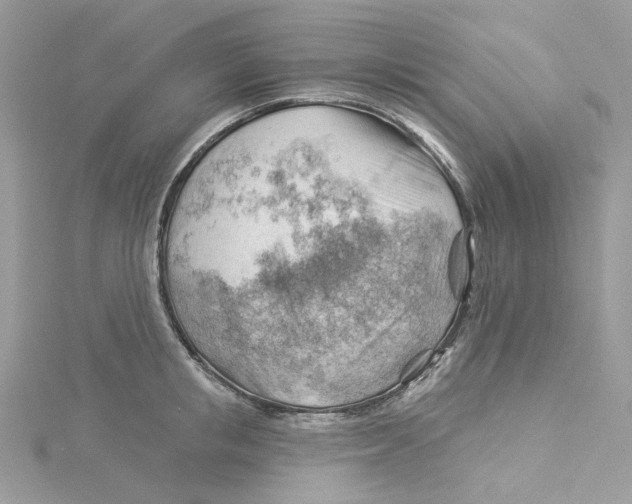 X0000114530853200911161335