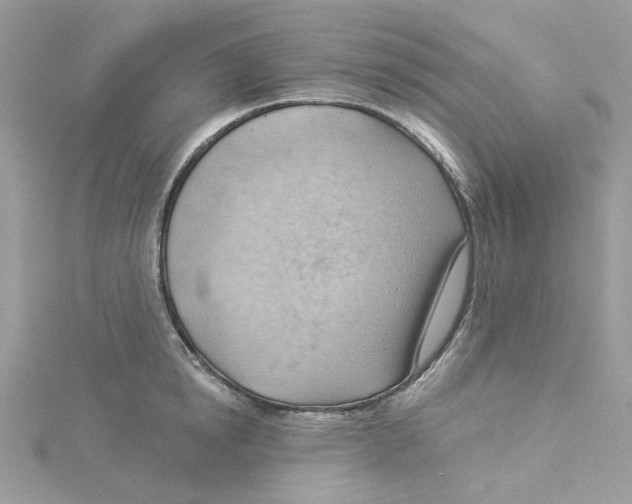 X0000114530854200911161335