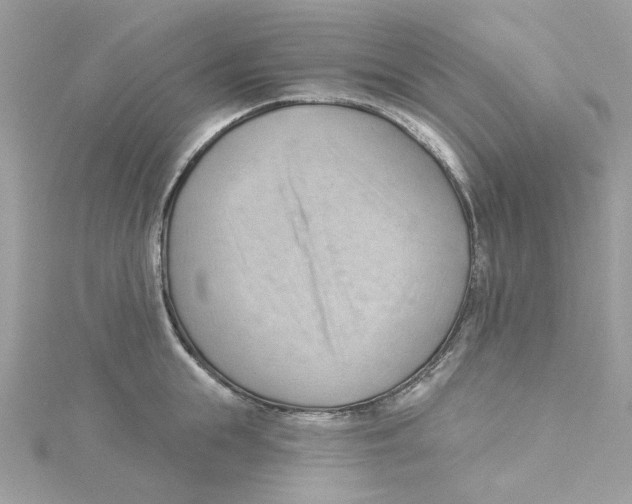 X0000114530855200911161335