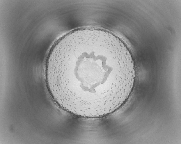 X0000114530856200911161335