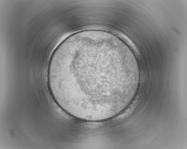 X0000114530860200911161335