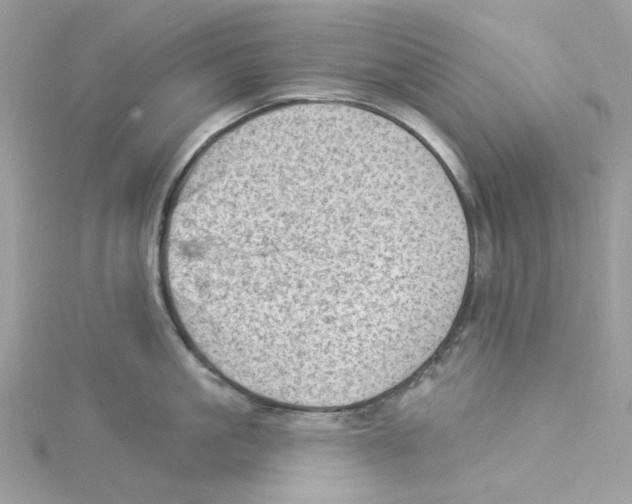 X0000114530861200911161335