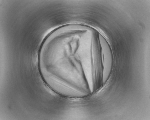 X0000114530862200911161335